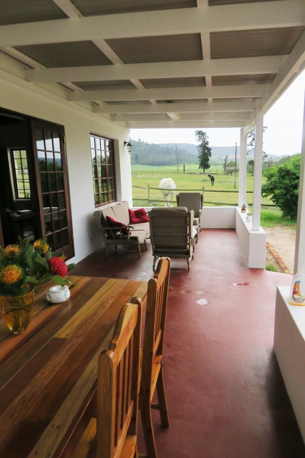 Villa Out Of Plett Plettenberg Bay Exterior foto